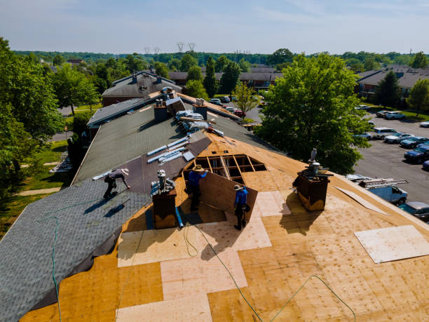 Trusted Roof Installation service in Callender, CA - Brentwood Metal Roofing
